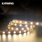 Indoor / Outdoor Decoration SMD 5050 LED Strip Light Monochrome Temperature Lamp