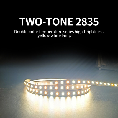 120 Light Flexible SMD 2835 LED Strip Bathroom Mirror Light With Low Pressure 12/24V