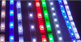 12V 24V 3528 Smd Dimmable LED Strip Light Landscape Lamps 120 LED / M 8mm PCB Width