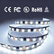 Low Voltage 12V 24V SMD 5050 LED Strip Light Monochrome Water Lamp With Silicone Tube