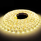 Two Color Temperature SMD 3528 LED Strip Light 120LEDs For Display Cabinet Staircase