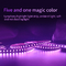 Soft SMD 5050 RGB LED Strip Five In One Light With Hotel KTV Line Light