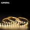 Outdoor 12V 24V SMD 5050 LED Strip Light With Silicon Rubber Tube