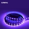 Low Voltage Flexible SMD RGB LED Strip Light Customized For Bar KTV