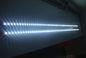 Super Brightness White SMD 3528 LED Strip Light 5 Meter Roll 60 LEDs / M DC12V/24V