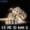 0.5W RGB Digital Rgb Led Strip , Waterproof Flexible Lights DC12V SMD 5050 IP20 IP65